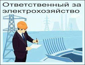 Ответственный за электрохозяйство